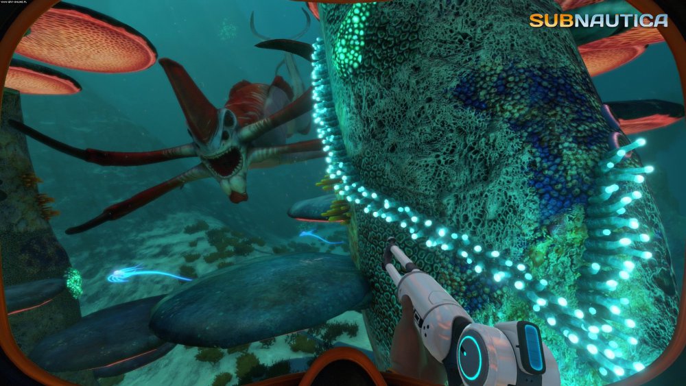 Subnautica где хранить вещи