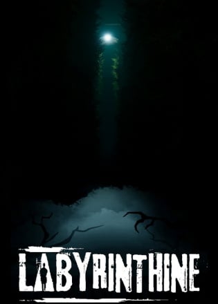 Labyrinthine